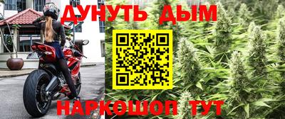 мяу мяу мука Краснокаменск