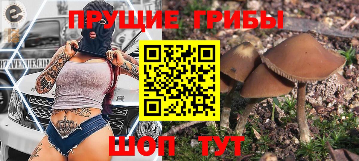 Псилоцибиновые грибы прущие грибы Фурманов
